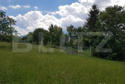 Teren de 1000 mp, în Central - 4