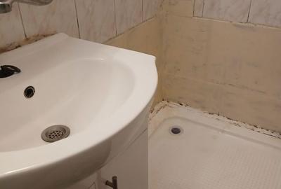 Apartament cu 2 camere semidecomandat în Central - 2
