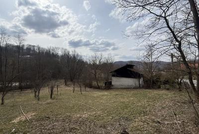 Teren Construcții intravilan de 2100 mp, în Provița de Jos - 3