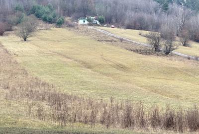 Teren extravilan 1500 mp de vânzare în Teliu – zonă liniștită - 5