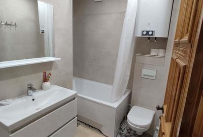 Garsoniera de inchiriat in zona Zizin - 4