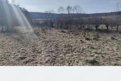 Teren de 1400 mp, în Sânmărtin - 3