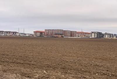 Teren DOBROESTI (str Balantei) Teren DOBROESTI (str Balantei) - 3