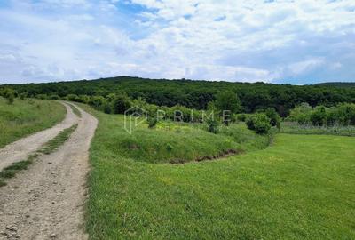 Teren Construcții intravilan de 11600 mp, în Corunca - 2