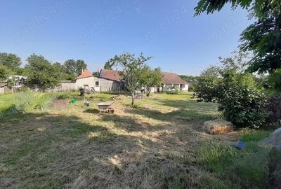 Casă cu 2 camere cu Teren 2000 Mp în Central - 2