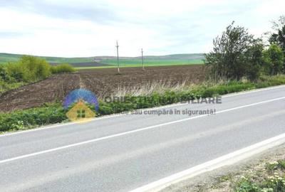 TEREN intravilan PIATRA NEAMT strada Izvoare - 1