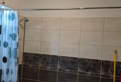 Apartament cu 2 camere semidecomandat în Moșilor - 5