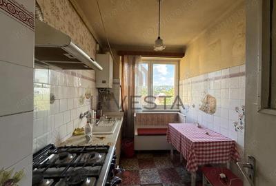 Apartament cu 4 camere decomandat, mobilat în Plopilor - 4