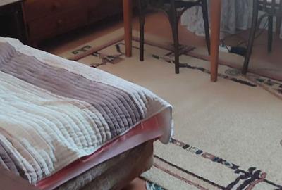 Apartament cu 2 camere decomandat în Ortelec - 13