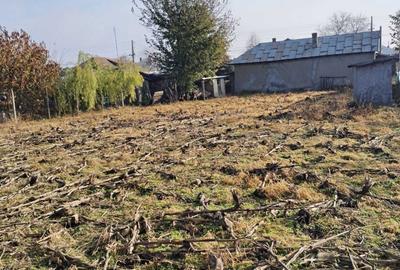 Casă cu 4 camere în Jijila - 5