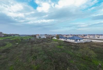 Teren intravilan 634 mp Domnesti - 3