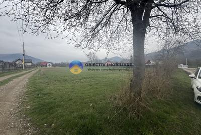 Teren Construcții intravilan de 1200 mp, în Vădurele (Alexandru cel Bun) - 3