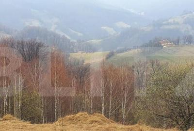 Teren 9648 mp, priveliste superba, Poiana Marului! - 2