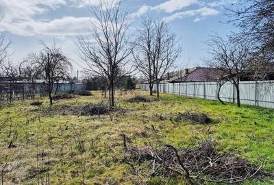 Teren de I Ultracentral I Branesti - 3