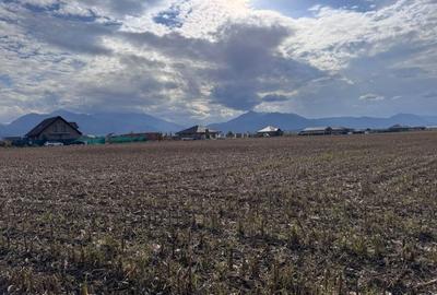 Teren dezvoltare rezidentiala Tarlungeni - zona Izvor - 2