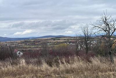 Teren intravilan, 1000 mp, Daia Noua - 2