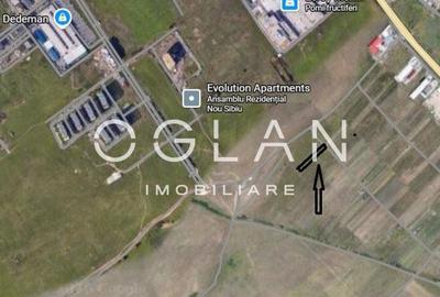 Teren de 1000 mp, în Șelimbăr