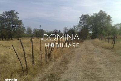 Teren de 6843 mp, în Polovragi - 5