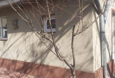 Casă cu 1 camere cu Canalizare în Industriilor - 6