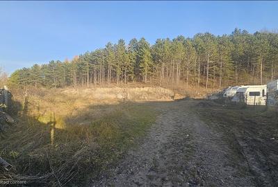 Teren intravilan de vanzare, Camping Colina - 4