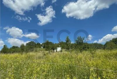 Teren de 1675 mp, în Podgoria - 4