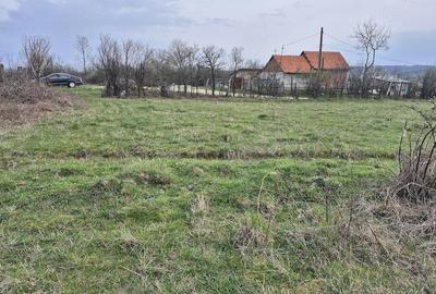 Teren de 2350 mp, în Sacoșu Mare - 2