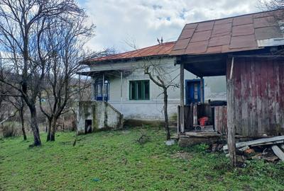 Casă cu 4 camere în Cotmeana - 4