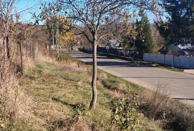 Vand teren de casa, intravilan, utilitati la poarta - 5