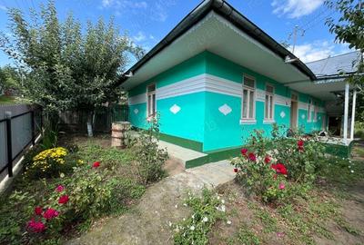 Vand Casa in sat Plopi com. Bunesti-Averesti - 1