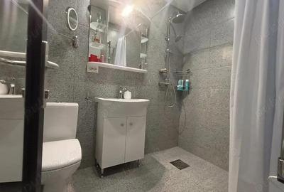 De vanzare Vila de vis in stil suedez cu piscina in Curtea de Arges - 17