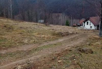 Teren de 10000 mp, în Lepșa - 3