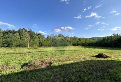 Spatiu industrial 100mp constructie metalica 3000 m2 la sosea - 11