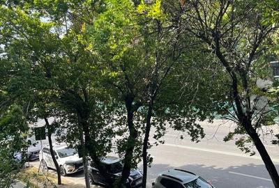 Apartament 2 camere Calea Floreasca - 13