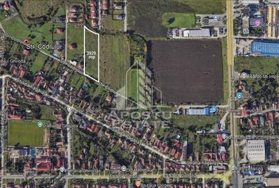 Teren 3929 mp, langa Timisoara, Ghiroda, ideal dezvoltari rezidentiale - 2