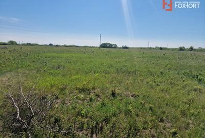 Teren Construcții extravilan de 5000 mp, în Moșnița Veche - 3