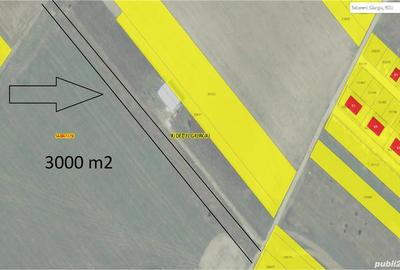 Teren de 3000 mp, în Săbăreni - 2
