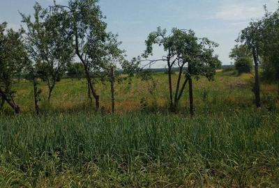 Casă în Central - 3