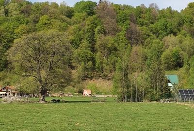 Spațiu comercial, în Plaiul Foii - 4