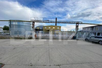 Hala+birouri, 15533mp utili, teren 21323mp, Freidorf - 2