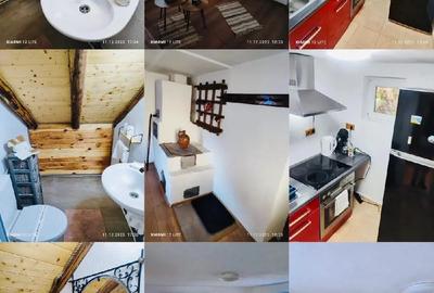 Cabana rustica la munte - 1