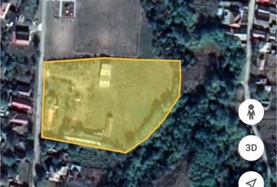 Casă cu 3 camere cu Teren 7170 Mp în Turceni - 2
