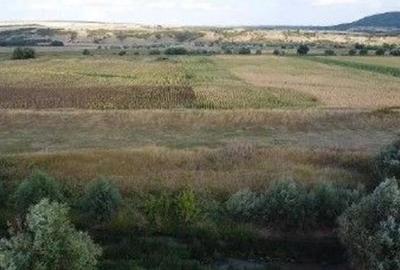 Teren Extravilan Banca, ID: R2805492 - 7