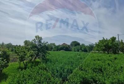 Casă cu 4 camere cu Teren 1440 Mp în Mișca - 4