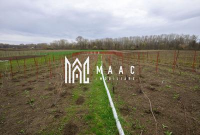 Casă individuală cu 3 camere cu Canalizare în Fârtățești - 12