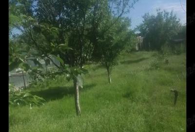 Casă cu 5 camere în Domnești - 1