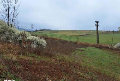 Spațiu comercial, în Viișoara - 3