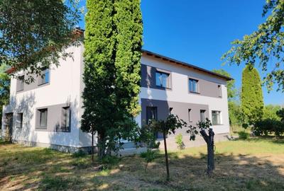 Duplex de vanzare, 180 mp utili, 1600mp curte, Dabaca - 4