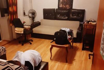 Apartament cu 2 camere decomandat în Camil Ressu - 4