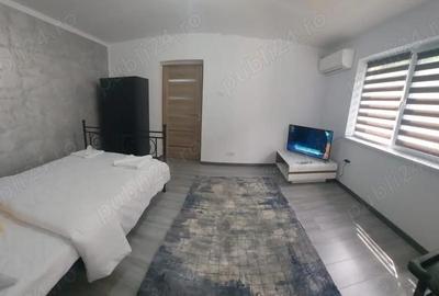 Apartament cu 2 camere semidecomandat în Central - 5