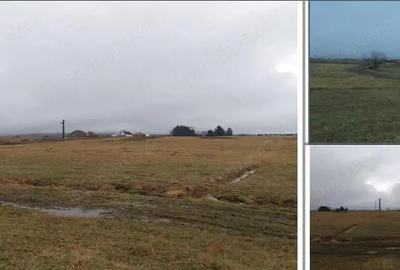 Teren situat in Com. Vlahita, jud. Harghita - 1